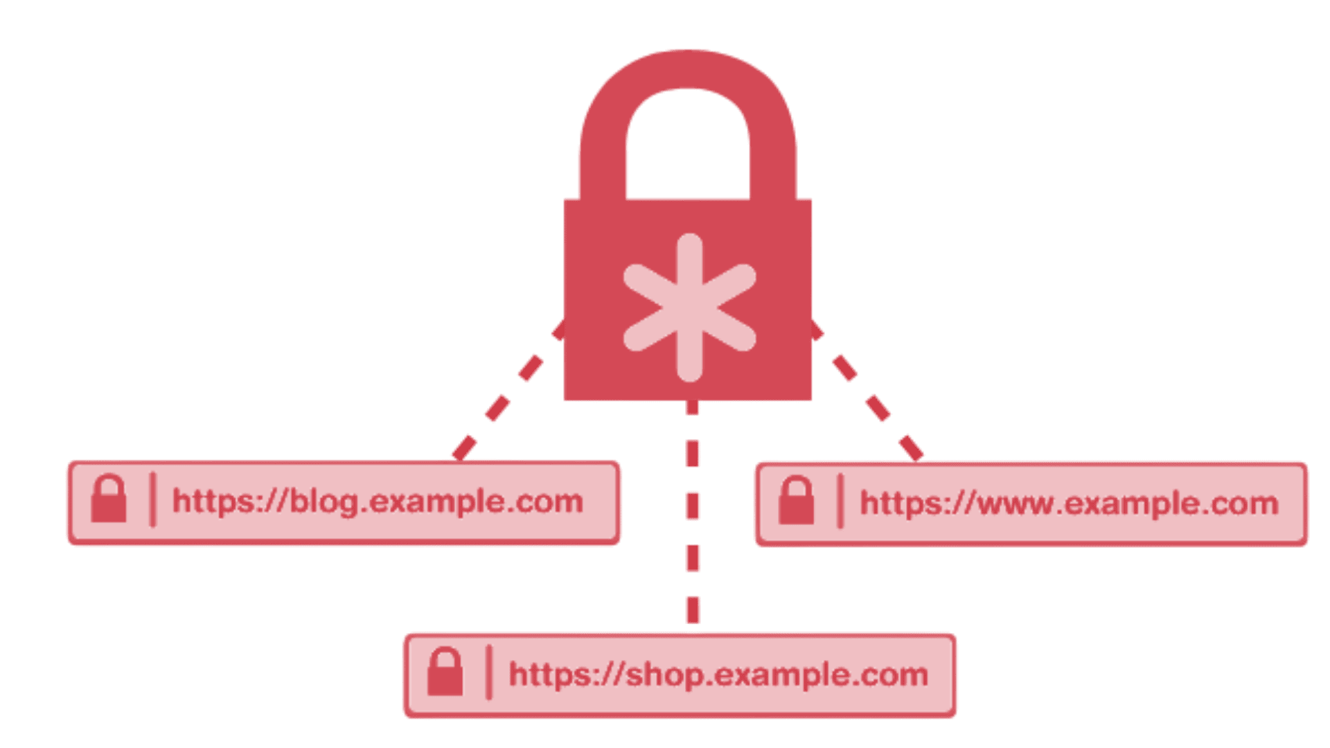 Wildcard SSL Certificates